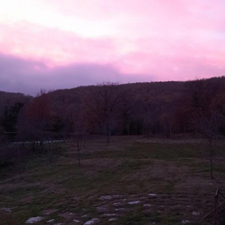 B&B Casale Ormano San Venanzo Экстерьер фото