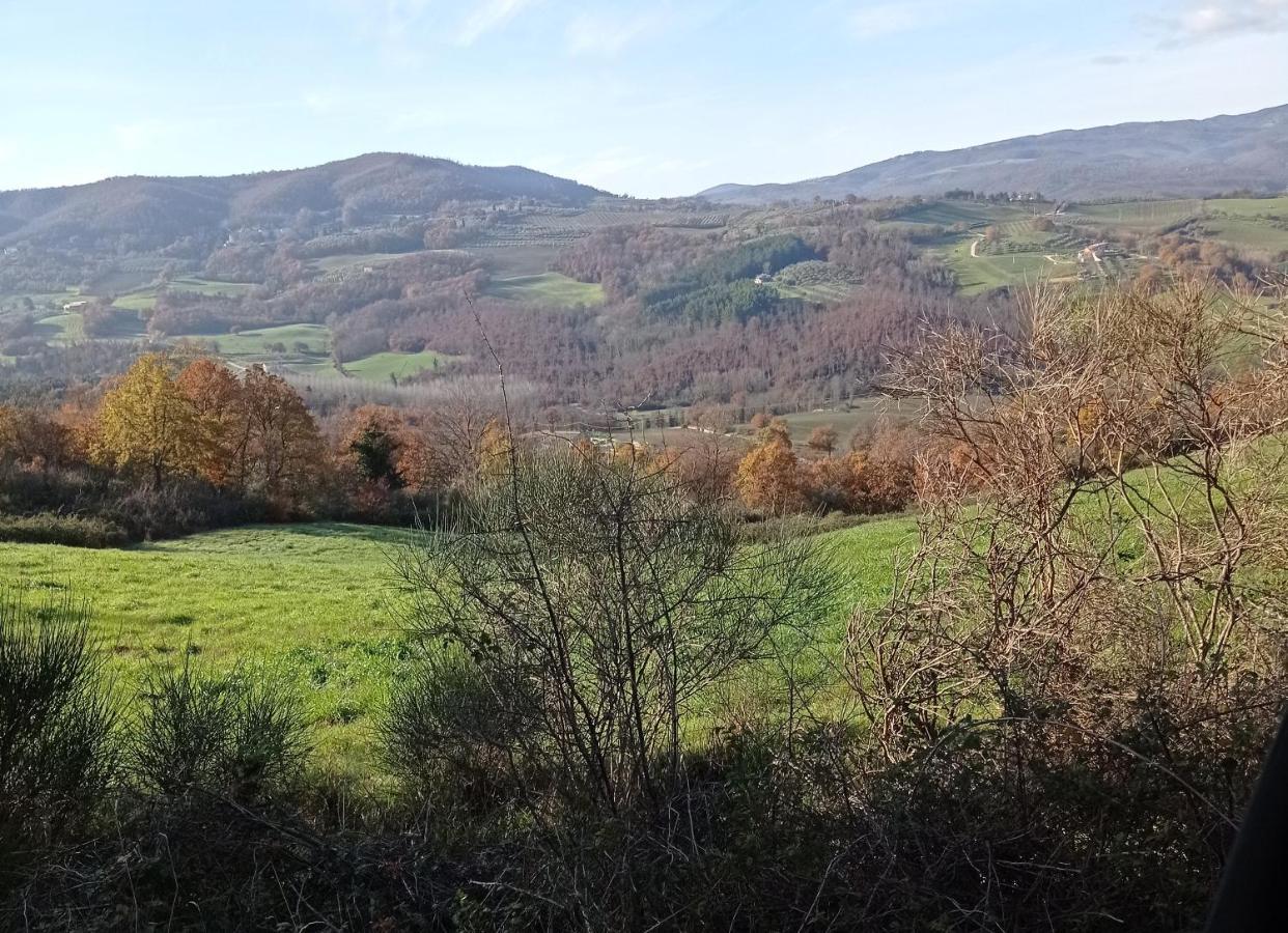 B&B Casale Ormano San Venanzo Экстерьер фото