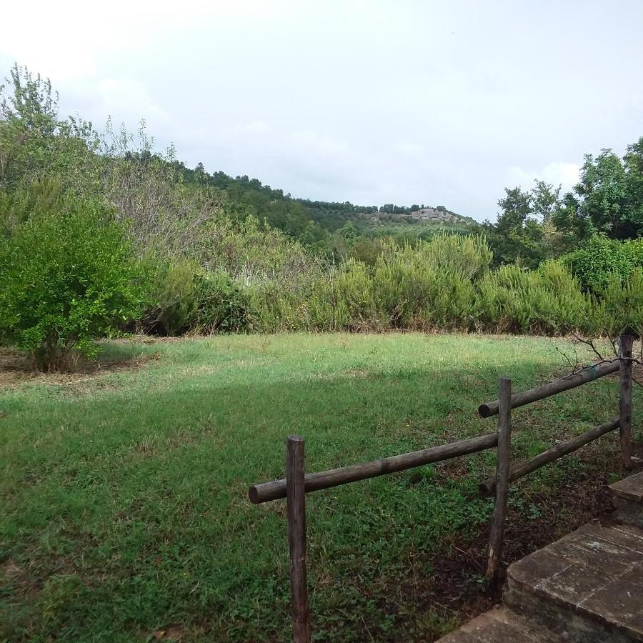 B&B Casale Ormano San Venanzo Экстерьер фото
